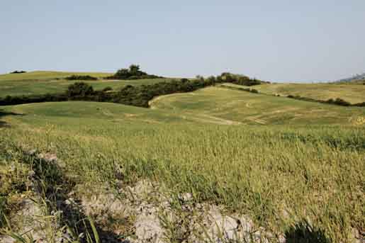 06.jpg